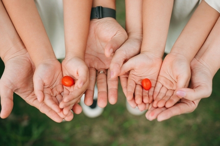 WARSZTATY DLA RODZICÓW Z PSYCHOLOGIEM